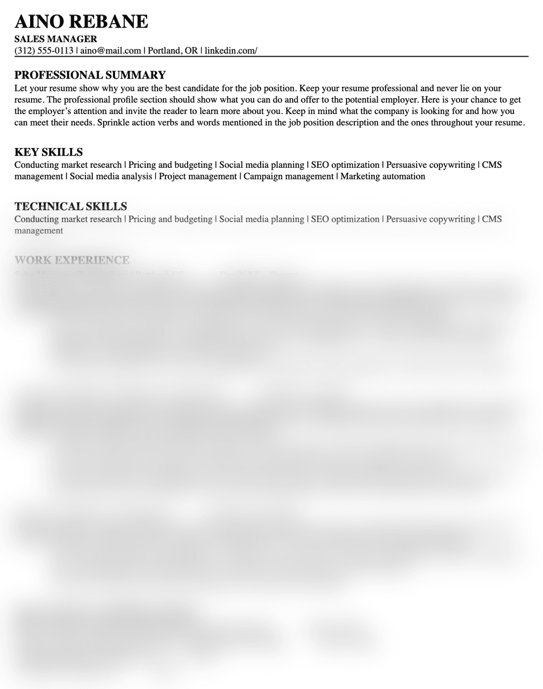 Sample: classic CV template